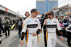Stoffel Vandoorne, McLaren, Fernando Alonso, McLaren