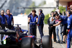 Шон Гелаель, Toro Rosso STR13