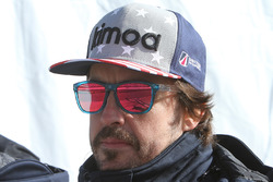 Fernando Alonso, United Autosports