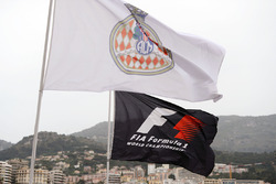 F1 flag