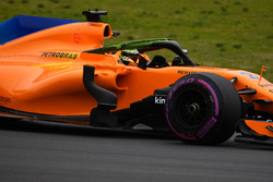 Stoffel Vandoorne, McLaren MCL33, Halo üzerinde Aero boyası