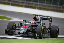 Stoffel Vandoorne, McLaren MP4-31 Test and Reserve Driver
