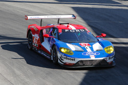#67 Ford Performance Chip Ganassi Racing Ford GT: Ryan Briscoe, Richard Westbrook