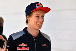 Брендон Хартлі, Scuderia Toro Rosso
