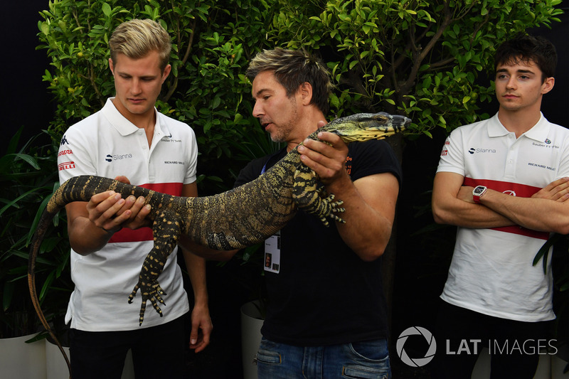 Marcus Ericsson, Sauber
