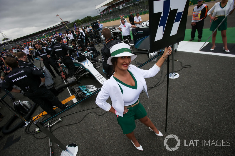 Gridgirl