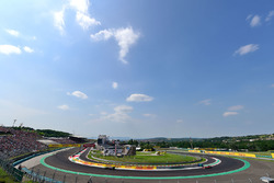 Fernando Alonso, McLaren MP4-31