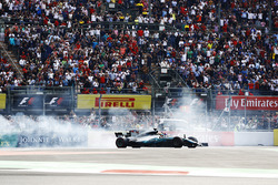2017 World Champion Lewis Hamilton, Mercedes AMG F1