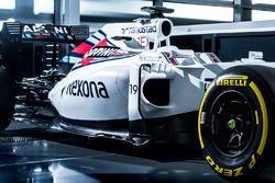 La Williams FW38 di Felipe Massa, dettaglio della livrea