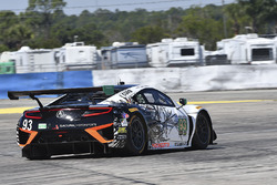 #93 Michael Shank Racing, Acura NSX: Andy Lally, Katherine Legge, Mark Wilkins
