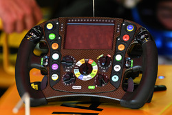 Renault Sport F1 Team RS17, volante