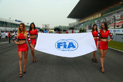 Lovely Grid Girls