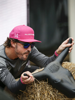Fernando Alonso, McLaren