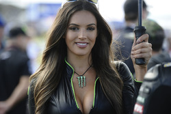 Monster-Energy-Girl
