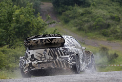 Dieter Depping, Erwin Mombaerts, Volkswagen Motorsport, Volkswagen Polo R WRC 2017