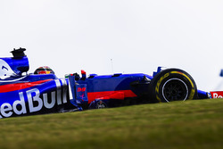 Брендон Хартли, Scuderia Toro Rosso STR12