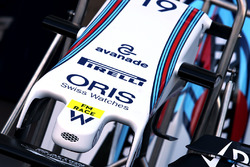 Felipe Massa, Williams F1 Team