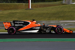 Stoffel Vandoorne, McLaren MCL3