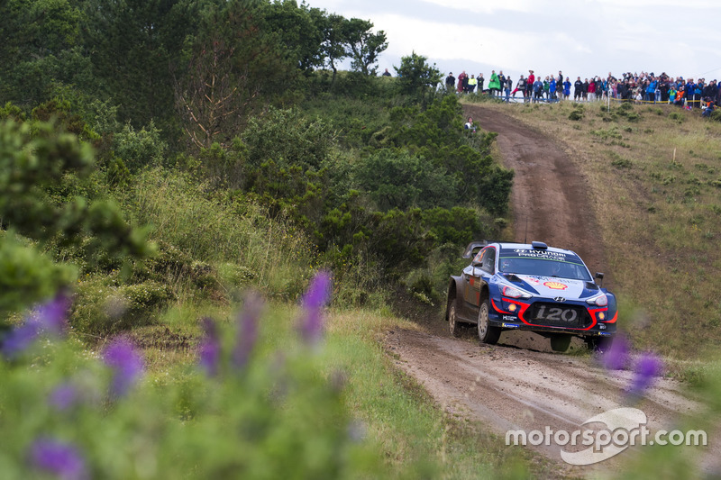Thierry Neuville, Nicolas Gilsoul, Hyundai Motorsport Hyundai i20 Coupe WRC