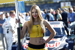 Grid girl of Marco Wittmann, BMW Team RMG, BMW M4 DTM