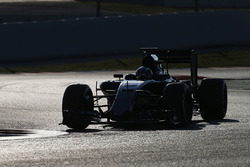 Max Verstappen, Scuderia Toro Rosso STR11