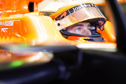 Stoffel Vandoorne, McLaren MCL32