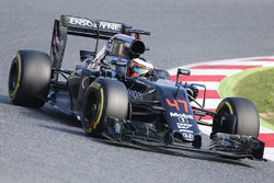 Штоффель Вандорн, McLaren MP4-31 Test and Reserve Driver