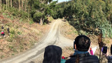 Accidente de Thierry Neuville Rally de Chile 2019