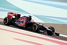 Toro Rosso in dark about 2014 car - Tost Toro Rosso in dark about 2014 car - Tost