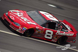 Dale Earnhardt Jr.