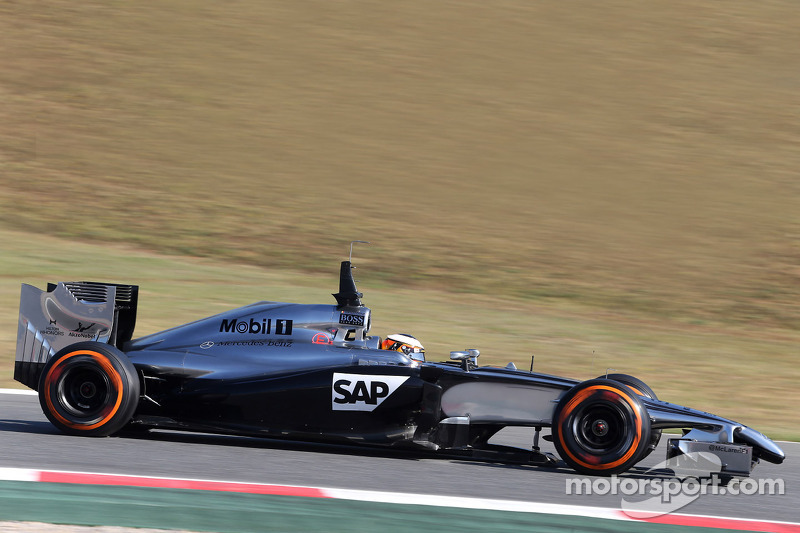 Стоффель Вандорн, McLaren MP4-29 Mercedes