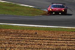 #49 Spirit of Race Ferrari 458 Italia: Piergiuseppe Perazzini, Marco Cioci, Eddie Cheever III