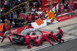 Dale Earnhardt jr., JR Motorsports, Chevrolet