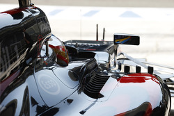 Fernando Alonso, McLaren Honda
