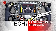 2014 F1 Steering Wheel Infographic - Sauber F1 Team 2014 F1 Steering Wheel Infographic - Sauber F1 Team