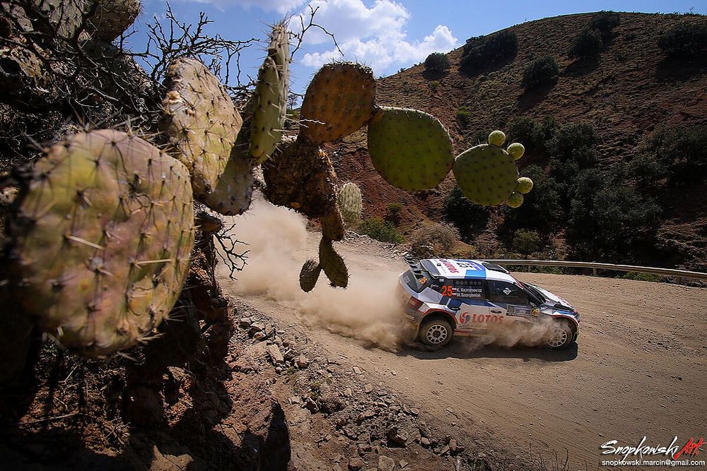 Rally Mexico 2020