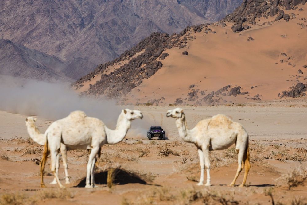 #205 Overdrive Racing Toyota Hilux Overdrive: Juan Cruz Yacopini, Daniel Oliveiras