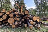 Por qu&eacute; Monza perdi&oacute; una parte ic&oacute;nica del circuito en la F1 2023