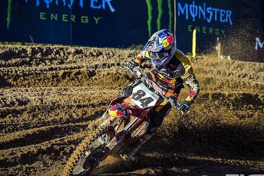 Herlings, Cerdeña 2023