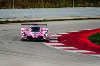 Angelard gotowy na debiut