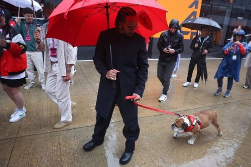 Hamilton se despide de su perro Roscoe: "La decisión más difícil de mi vida"