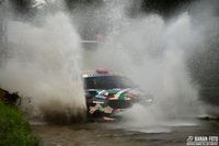 Tylko 9 oes&oacute;w na Podkarpaciu