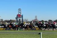 角田裕毅、オリジナルのアパレルブランドを立ち上げ。ブランド名は