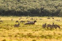 (Moto)Wizja Tygodnia – 24-31 marca