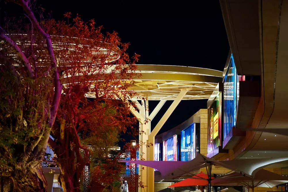 The paddock