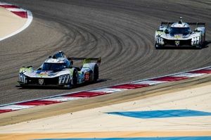 Novalak i Pourchaire na celowniku Peugeot