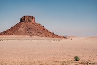 ¿Por qué el Rally Dakar solo se disputa en Arabia Saudita por el momento?