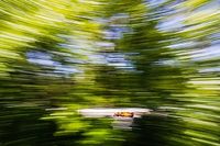 Vandoorne busca explicaciones al "extra&ntilde;o" d&iacute;a de McLaren