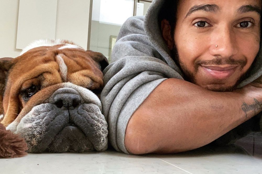 Lewis Hamilton, Roscoe