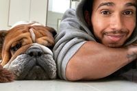 Dura p&eacute;rdida para Hamilton: muere su perro y amigo, Roscoe